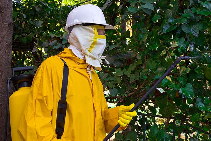 黄色い作業着を着て作業している害虫駆除の職員